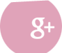 Google+ Icon