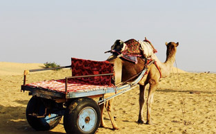 Rajasthan India Tour Package